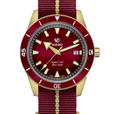 Montre Captain Cook 42 mm Bronze R32504407 - Rado