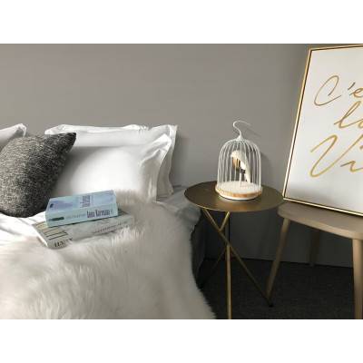 Jingoo White Pearl JG01-PR - Daqi Concept