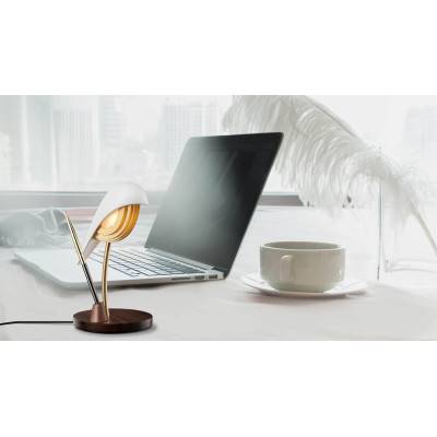Ivory White Bird Light Lamp BR01-IW - Daqi Concept