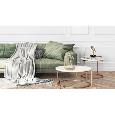 Olive Green Bird Light Lamp BR01-OG - Daqi Concept