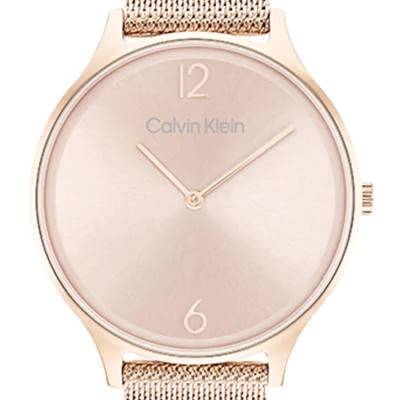 Montre Timeless 2h 25200002 - Calvin Klein