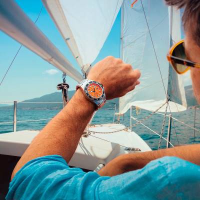 The Originals Watch F20663/4 - Festina
