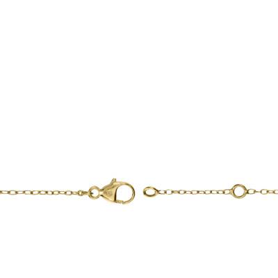 Collier Diamant 0,05 ct GSI2 et Or Jaune 750, Longueur 40 cm à 42 cm - Diamond Lady