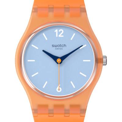 Montre View from a Mesa LO116 - Swatch