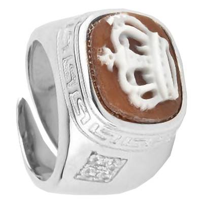 Bague Camée Couronne et Pierres, Marron & Argent - Emanessence