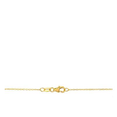 Collier Bicolore Cœur Or Jaune 375, Longueur 46 cm - Emanessence