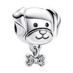 Chien