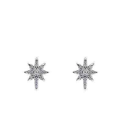 Boucles d'Oreilles Étoile Polaire Scintillante - Pandora