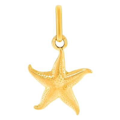 Pendentif Etoile de Mer, Or Jaune 375 ou 750 - Lucas Lucor