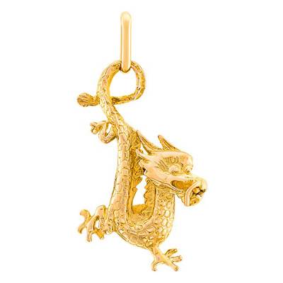 Pendentif Dragon en Or jaune 375 ou 750 - Lucas Lucor