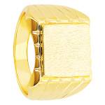 925/1000 Sterling Silver,Gold-Plated (3 microns)