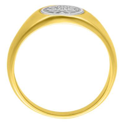 Chevalière Zodiaque Ovale Acier, Argent & Laiton Doré - Thomas V