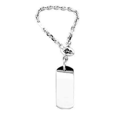 Polished Plate Keychain - Artemis