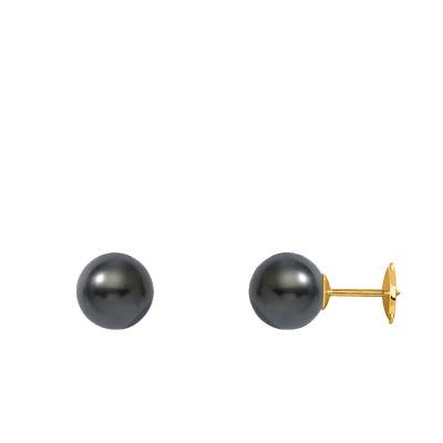 Puces d'oreilles Perles de Tahiti Rondes de 8 à 11 mm en Or Jaune 750 - Négoce-îles