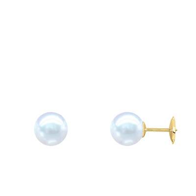750 Yellow Gold & Round Freshwater Pearl Stud Earrings, 7 to 10 mm - Négoce-îles