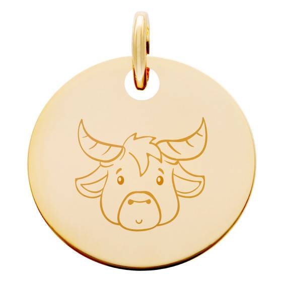 Pendentif rond irrégulier 21 mm avec oxydes de Zirconium - signe du zodiaque Taureau - Doré x1 - Perles & Co