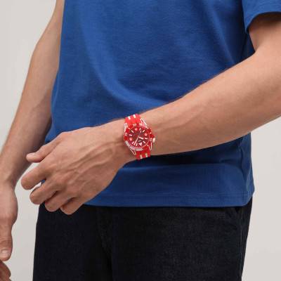 Lion's Mane SSCU09R100 Watch - Swatch