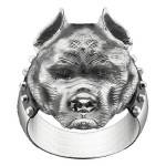Pitbull 