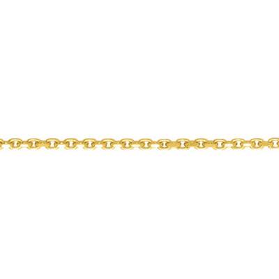 Chaîne de cheville maille forçat & plaqué Or Jaune 750, Longueur 26 cm - Naïades