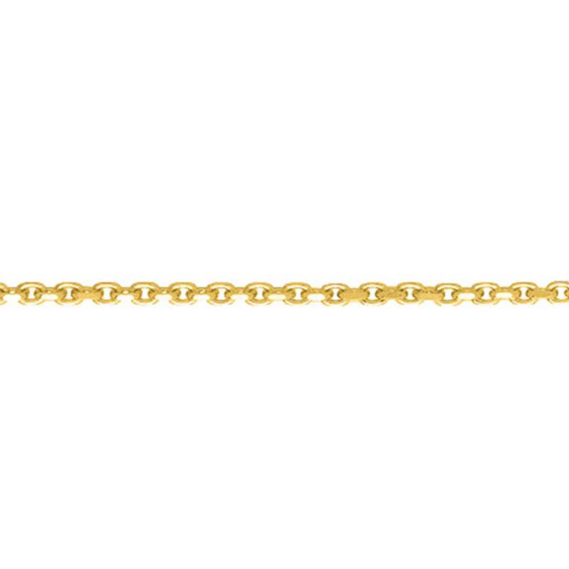 Yellow Gold-Plated Cable Chain Ankle Bracelet, 26 cm - Naïades