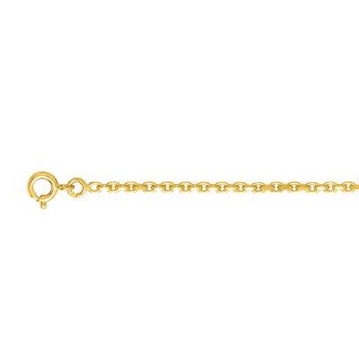 Chaîne de cheville maille forçat & plaqué Or Jaune 750, Longueur 26 cm - Naïades