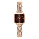 Marron,Rose