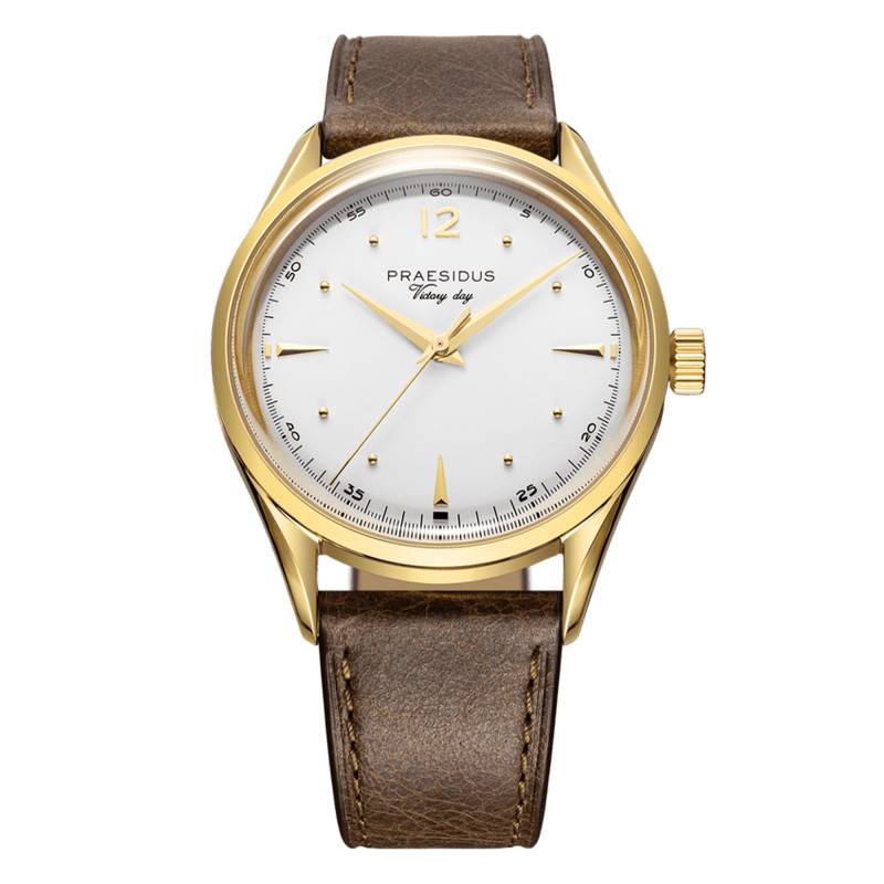 Watch Victory Watch - White Dove P-38-VD-MW-DBRSG - Praesidus