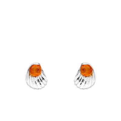 925 Silver Small Shell Amber Stud Earrings - Naïades
