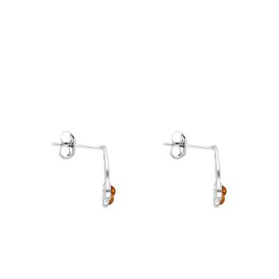 Boucles d'Oreilles Rond Ambre en Argent 925 - Naïades