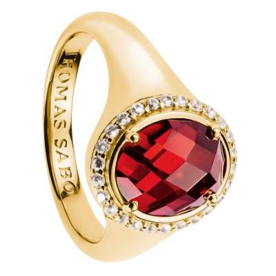 Elyndra 750/1000 Yellow Gold-Plated & Oxide Ring - TR2507-414-10 - Thomas Sabo