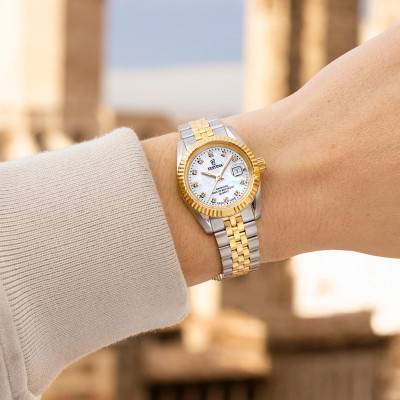 Classic Steel F20088/1 Watch - Festina Swiss Made