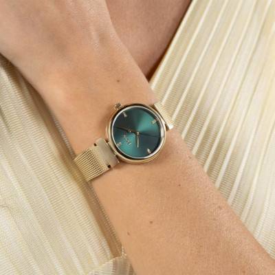 Montre Rosehill 1502855 - Boss