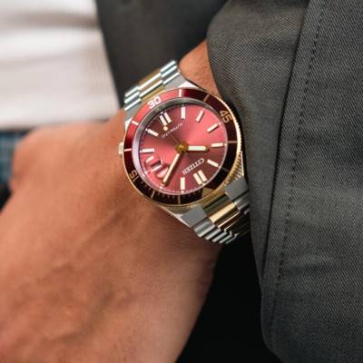 Tsuyosa Shore NJ0234-58X Watch - Citizen
