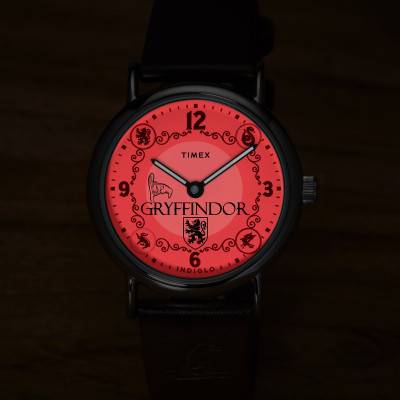 Montre Timex x Harry Potter Weekender Gryffindor 38mm TW2Y76300 - Timex
