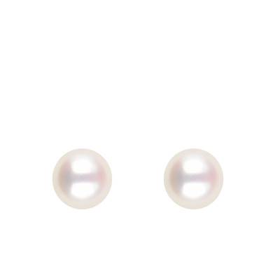 Boucles d'Oreilles Puces Perles d'Akoya Blanches en Or Jaune 750, Diamètre 5 mm - Schmittgall