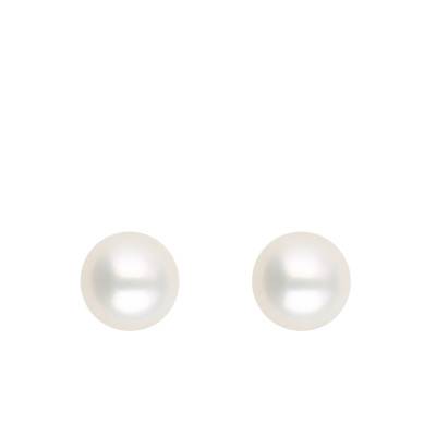 Boucles d'Oreilles Puces Perles d'Eau Douce en Or Blanc 750, Diamètre 4 mm - Schmittgall