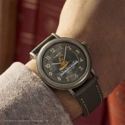 Montre Timex x Harry Potter Weekender Sorting Hat 37mm TW2Y77000 - Timex