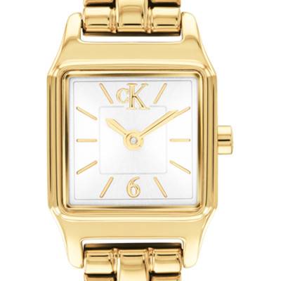 Montre Soft Form 25100233 - Calvin Klein