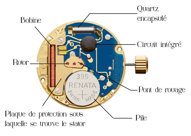 Composition d'un mouvement à quartz ETA 955.412 (Source : Elegance et précision)