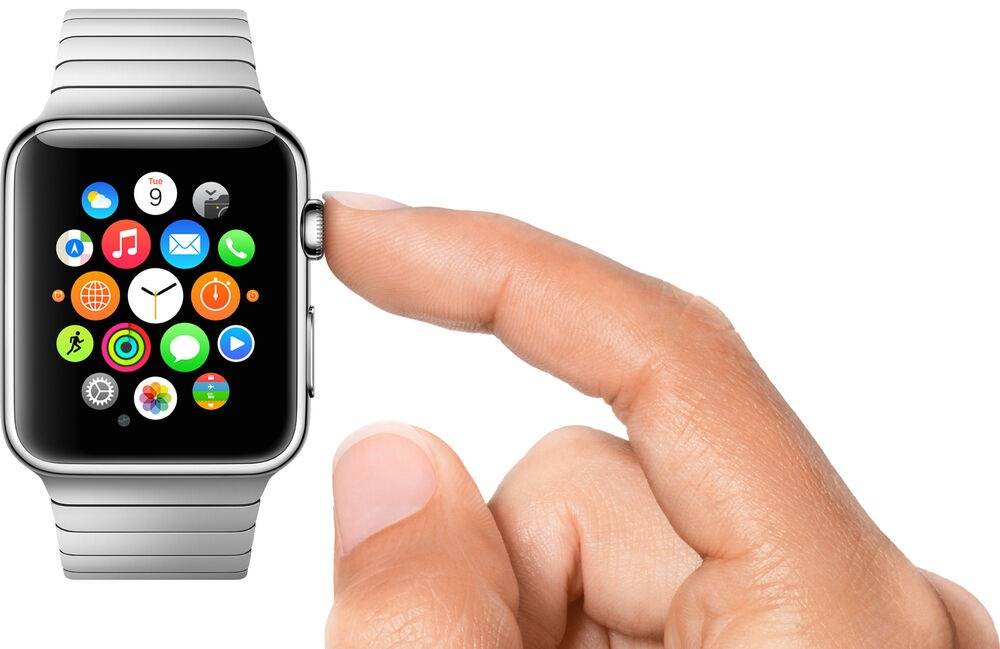 Apple Watch Series 0, 2015 (Source : Apple Fandom)