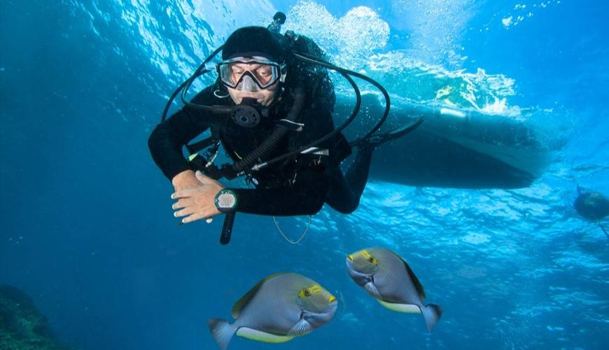 Les montres de plongée